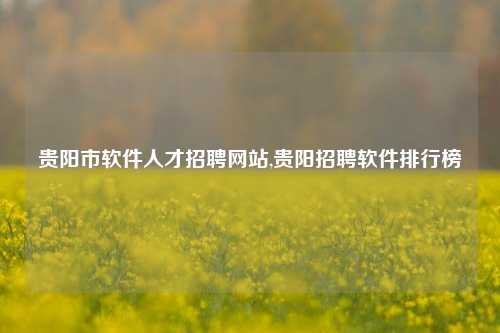 贵阳市软件人才招聘网站,贵阳招聘软件排行榜