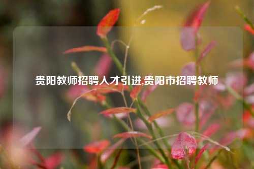 贵阳教师招聘人才引进,贵阳市招聘教师