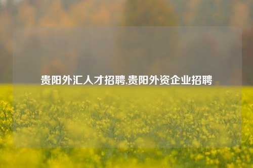 贵阳外汇人才招聘,贵阳外资企业招聘