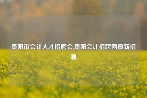 贵阳市会计人才招聘会,贵阳会计招聘网最新招聘