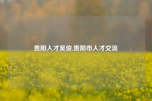 贵阳人才吴俊,贵阳市人才交流