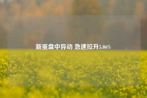 新蛋盘中异动 急速拉升5.06%-第1张图片-贵阳人才网