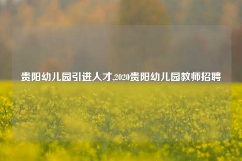 贵阳幼儿园引进人才,2020贵阳幼儿园教师招聘