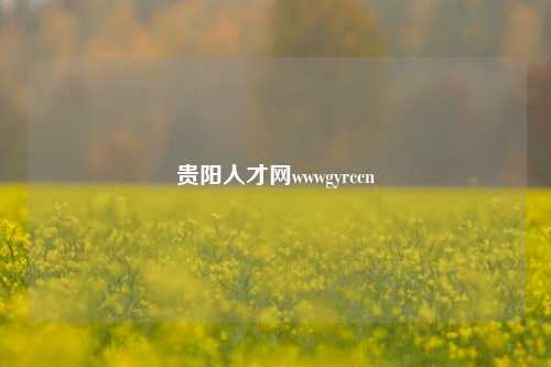 贵阳人才网wwwgyrccn-第1张图片-贵阳人才网