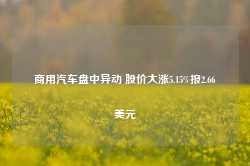 商用汽车盘中异动 股价大涨5.15%报2.66美元-第1张图片-贵阳人才网