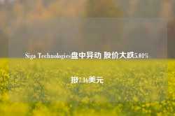 Siga Technologies盘中异动 股价大跌5.01%报7.16美元-第1张图片-贵阳人才网