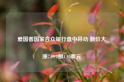 爱国者国家合众银行盘中异动 股价大涨7.09%报1.94美元-第1张图片-贵阳人才网