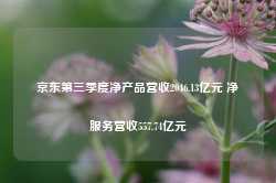 京东第三季度净产品营收2046.13亿元 净服务营收557.74亿元-第1张图片-贵阳人才网