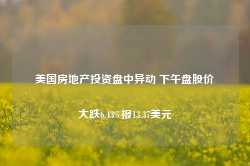 美国房地产投资盘中异动 下午盘股价大跌6.43%报13.37美元-第1张图片-贵阳人才网