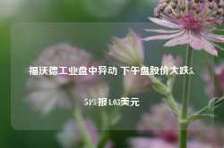 福沃德工业盘中异动 下午盘股价大跌5.54%报4.03美元-第1张图片-贵阳人才网