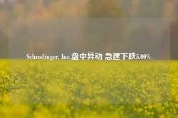 Schrodinger, Inc.盘中异动 急速下跌5.00%-第1张图片-贵阳人才网