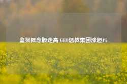 监狱概念股走高 GEO惩教集团涨超4%-第1张图片-贵阳人才网