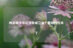 同花顺涉非法荐股被立案？最新回应来了