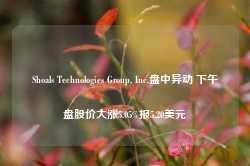 Shoals Technologies Group, Inc.盘中异动 下午盘股价大涨5.05%报5.20美元