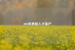 2020年贵阳人才落户-第1张图片-贵阳人才网