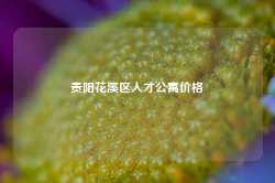 贵阳花溪区人才公寓价格-第1张图片-贵阳人才网