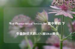 West Pharmaceutical Services, Inc.盘中异动 下午盘股价大跌5.17%报320.64美元