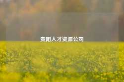 贵阳人才资源公司