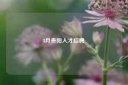 3月贵阳人才招聘