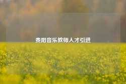 贵阳音乐教师人才引进