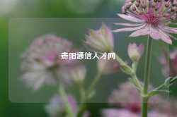 贵阳通信人才网