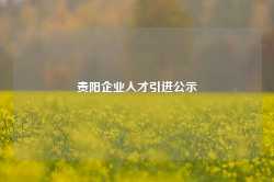 贵阳企业人才引进公示