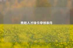 贵阳人才绿卡申领条件