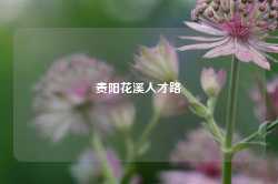 贵阳花溪人才路