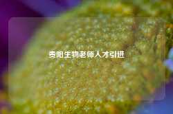 贵阳生物老师人才引进