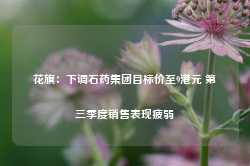 花旗：下调石药集团目标价至9港元 第三季度销售表现疲弱