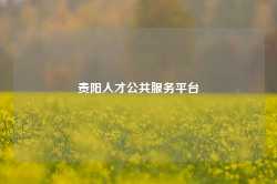 贵阳人才公共服务平台