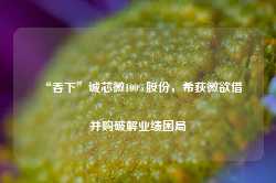 “吞下”诚芯微100%股份，希荻微欲借并购破解业绩困局-第1张图片-贵阳人才网