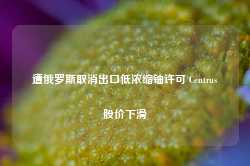 遭俄罗斯取消出口低浓缩铀许可 Centrus股价下滑-第1张图片-贵阳人才网