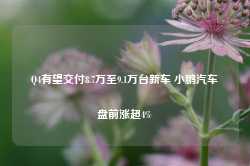 Q4有望交付8.7万至9.1万台新车 小鹏汽车盘前涨超4%-第1张图片-贵阳人才网