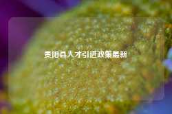 贵阳县人才引进政策最新