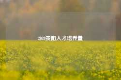 2020贵阳人才培养量