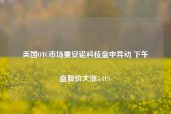 美国OTC市场赛安诺科技盘中异动 下午盘股价大涨5.41%