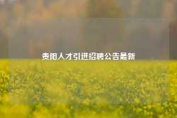 贵阳人才引进招聘公告最新