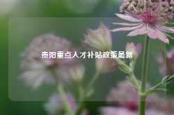 贵阳重点人才补贴政策最新