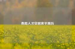 贵阳人才安居袁平简历