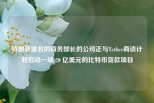 特朗普提名的商务部长的公司正与Tether商谈计划启动一项 20 亿美元的比特币贷款项目