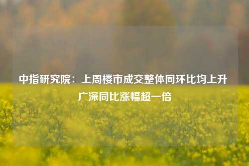 中指研究院：上周楼市成交整体同环比均上升 广深同比涨幅超一倍