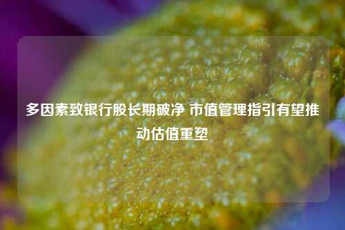 多因素致银行股长期破净 市值管理指引有望推动估值重塑