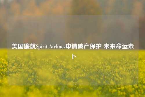 美国廉航Spirit Airlines申请破产保护 未来命运未卜