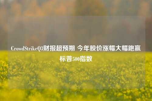 CrowdStrikeQ3财报超预期 今年股价涨幅大幅跑赢标普500指数