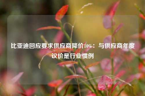 比亚迪回应要求供应商降价10%：与供应商年度议价是行业惯例