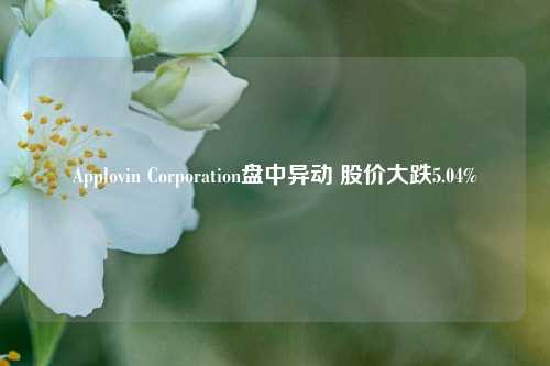 Applovin Corporation盘中异动 股价大跌5.04%