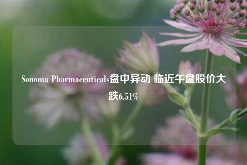 Sonoma Pharmaceuticals盘中异动 临近午盘股价大跌6.51%