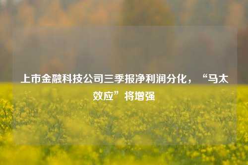 上市金融科技公司三季报净利润分化，“马太效应”将增强