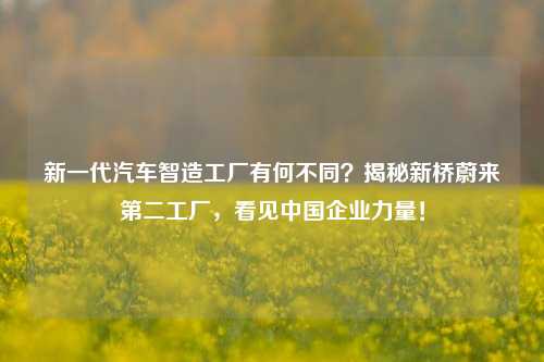 新一代汽车智造工厂有何不同？揭秘新桥蔚来第二工厂，看见中国企业力量！